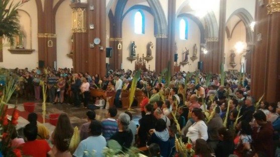 Fieles acuden a la catedral de Xalapa  en el domingo de ramos.  