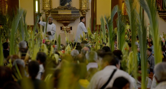 Cientos de feligreses católicos se dieron cita en la catedral metropolitana de Xalapa para participar en  la celebración del Domingo de Ramos con el cual da inicio la semana mayor para los creyentes.