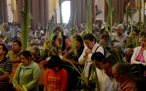 Cientos de feligreses católicos se dieron cita en la catedral metropolitana de Xalapa para participar en  la celebración del Domingo de Ramos con el cual da inicio la semana mayor para los creyentes.