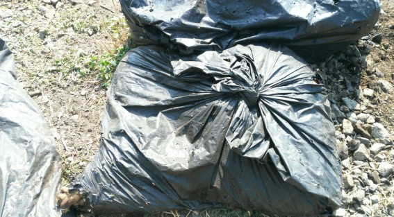 La mañana de este domingo fueron encontrados restos humanos dentro de bolsas negras, a orillas de la carretera a la altura del poblado Los Ídolos, perteneciente a este municipio.