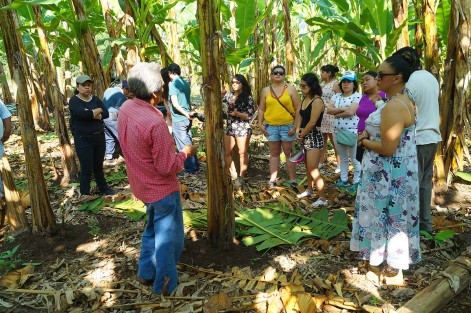 Turistas se maravillan con riquezas naturales y buscan explorar todo lo que tiene México.
