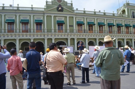 Cafeticultores de la región de Coatepec realizaron una asamblea informativa en Plaza Lerdo.