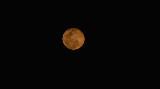 Enamorados de la Luna tuvieron oportunidad de contemplarla en su versión llamada Luna Rosa. Fue también la primera luna llena después del equinoccio de primavera, por loqueen esta semana se festeja la Semana Santa. La influencia de la luna en nuestros días.   