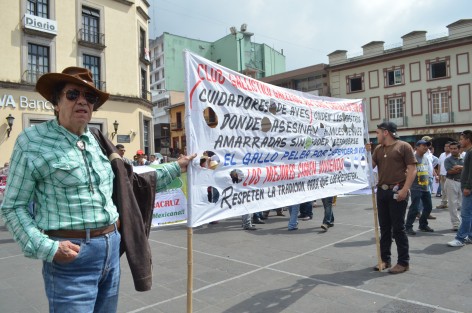 Galleros aseguraron que no darán su voto a quienes se sigan oponiendo a las peleas de gallos. 