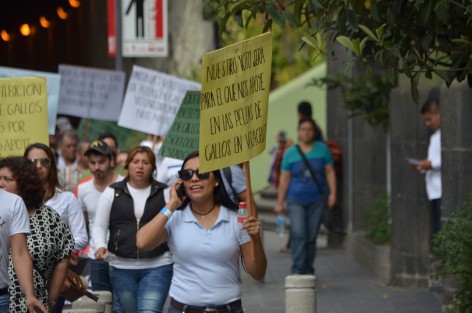 Aseguraron que no darán su voto a quienes se sigan oponiendo a las peleas de gallos. 
