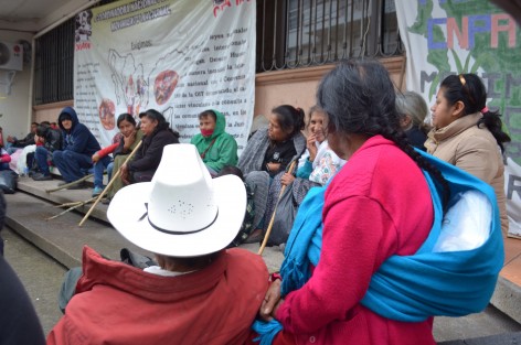 Campesinos de la Coordinadora Nacional Mosiv mantienen un plantón en las oficinas de la Comisión Nacional para el Desarrollo de los Pueblos Indígenas, en demanda de apoyos.    