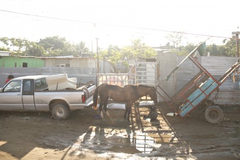 Un grupo de vecinos de la colonia Ana Carreto que se dedican a la compra y venta de fierro viejo, invitaron al regidor José González para constatara personalmente el cambio de siete caballos por el mismo número de camionetas que ahora serán utilizadas en estas tareas.