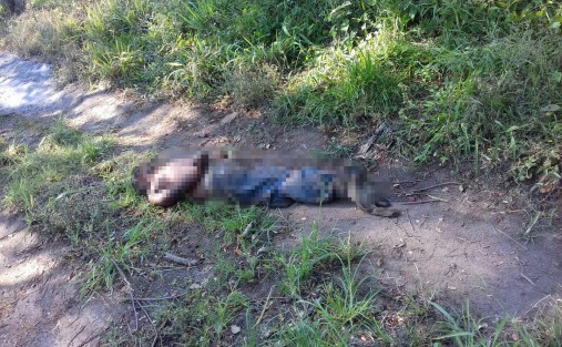 El cuerpo sin vida de un sujeto fue hallado la mañana de este jueves en las inmediaciones de un camino de terracería cerca de la zona de  fraccionamientos de Medellín de Bravo, Ver..
