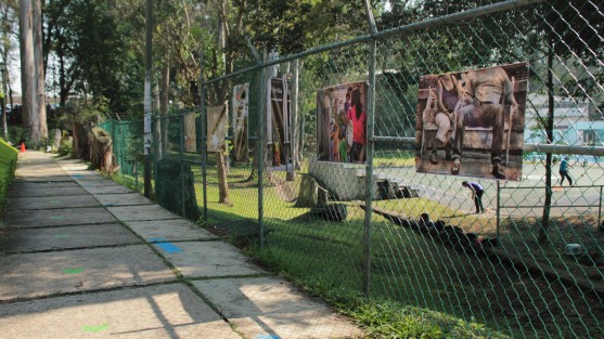 La intervención de la zona permanecerá por algunos días. Cabe destacar que los elementos que están manejando son similares a los que está aplicando la administración municipal en algunos puntos de la capital. 