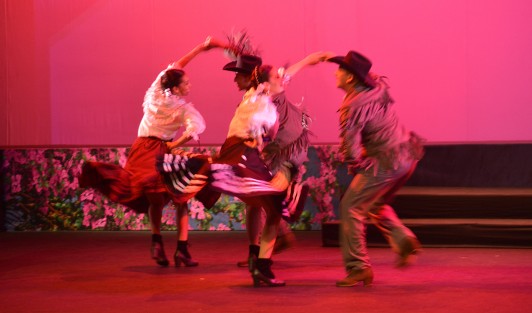 Como parte del 6to Festival ESAV Día Internacional de la Danza, en el Teatro del Estado se presentó la función de Gala Xalapeños a la Mexicana, contando con la presencia del Ballet Juvenil Folklórico Tierra Colombiana como invitados. 