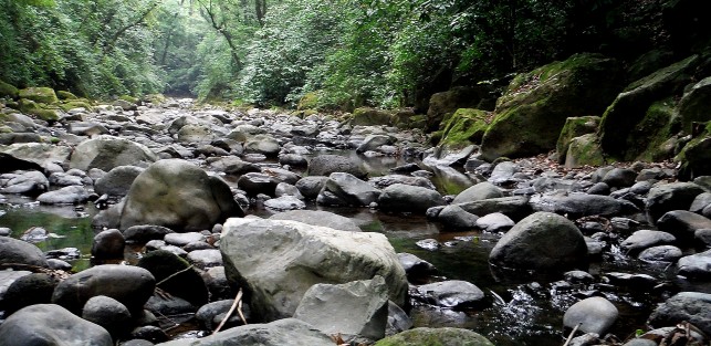 Ante la ola de calor que se ha dejado sentir en estos últimos días así lucen muchos de los ríos de la periferia de Xalapa, secos y contaminados ante el  avance de la mancha urbana. 
