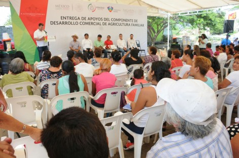 En el municipio de Veraruz se realizó la entrega de apoyos del programa de Componente de Desarrollo Comercial de Agricultura Familiar. El senador Héctor Yunes Landa asistió como invitado especial.