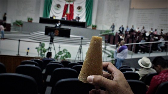 Piloncillos presentes en la sesión del  Congreso ya que el grupo legislativo de MORENA, presentó una iniciativa con proyecto de Decreto para que en el Estado de Veracruz de Ignacio de la Llave se expida la Ley para el Fomento, Desarrollo y Protección de la Actividad Piloncillera, tarea agrícola considerada artesanal y tradicional. 