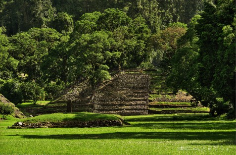 Se carece de estrategias para promover la visita de turistas en la zona desde Jalacingo hasta Vega de Alatorre y la Zona de Misantla y Tlapacoyan; falta promover la cultura, las raíces y la espiritualidad.

