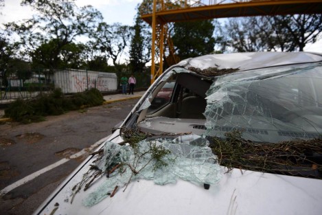 Diversos daños ocasiono el viento que se registró a lo largo del día en la capital veracruzana, decenas de árboles, ramas y algunos espectaculares y postes de luz cayeron a la vía pública o sobre vehículos estacionados causando diversos daños materiales.  