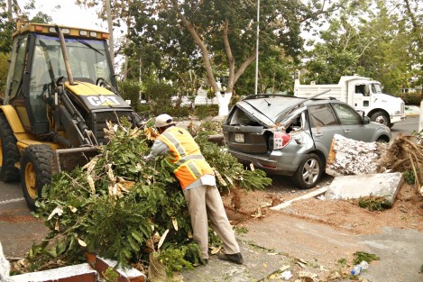 El violento norte que azotó esta tarde a la zona conurbada Veracruz-Boca del Río, provocó derribamiento de árboles, fuerte oleaje y el desprendimiento de una de las fachadas del Hospital del Niño en la ciudad de Veracruz.
 