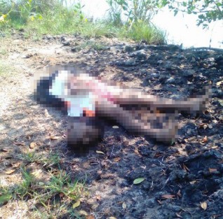 Amarrado de ambas extremidades superiores a la espalda y decapitado fue encontrado el cuerpo de un sujeto la tarde de este viernes en la comunidad Boca de Lima, perteneciente a este municipio costero.
