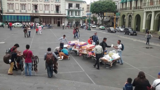 Comerciantes ambulantes se plantaron en la Plaza Lerdo solicitando les dejen vender sus productos. 