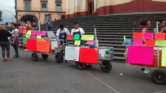 Por su parte, la subdirectora de Comercio, Clorinda Ferral Ferrando, dijo que seguirán aplicando la ley, porque el Reglamento prohíbe el comercio informal en el Centro Histórico, asegurando que es completamente falso que los inspectores de esa Subdirección soliciten <em>mochadas</em> o <em>sobornos</em> para permitir el comercio ambulante en el primer cuadro de la ciudad. 