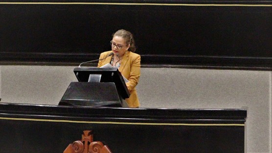Diputada Daniela Griego.