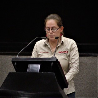 Para establecer en la legislación de Veracruz a la manipulación parental como una agravante de violencia familiar, la diputada del grupo legislativo de MORENA, Tanya Carola Viveros Cházaro presentó una iniciativa que reforma el artículo 154 BIS del Código Penal para el Estado de Veracruz.