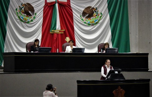 La diputada Tanya Carola Viveros Cházaro refirió que debido a la ausencia de un marco legal no se conoce el número de personas asesinadas por homobofia, aunado a que son pocas las denuncias que se presentan bajo este delito; ante lo cual se califican como crímenes pasionales.
