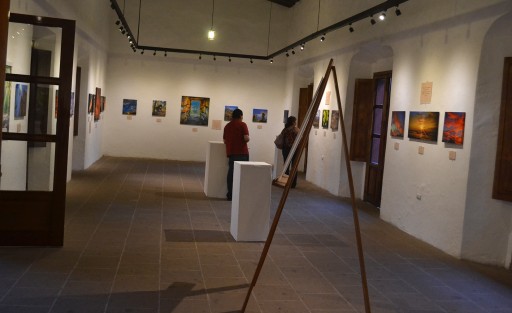 La exposición <em>Belleza Exterior</em>, de Kyobska Herrera, se encuentra en Centro Recreativo Xalapeño (CRX). Dicha expo tiene como causa apoyar a la asociación <em>Ayúdame Hermano Tengo Cáncer (Ahteca).  