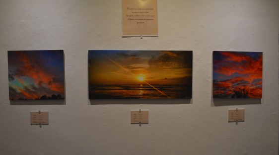 La exposición <em>Belleza Exterior</em>, de Kyobska Herrera, se encuentra en Centro Recreativo Xalapeño (CRX). Dicha expo tiene como causa apoyar a la asociación <em>Ayúdame Hermano Tengo Cáncer (Ahteca).   
