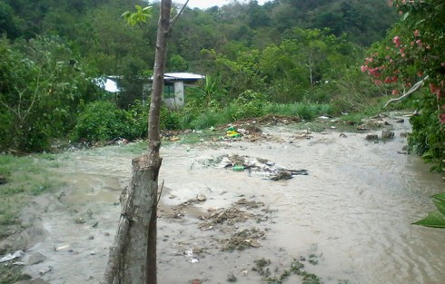 Cerca de veinte familias resultaron afectadas por el escurrimiento de aguas negras de un cárcamo de aguas residuales en la colonia Gutiérrez Barrios de la ciudad de Papantla, y que es de la Comisión del Agua del Estado de Veracruz (CAEV), siendo que en otros sectores se ha apreciado este tipo de problemas. 