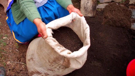 ecesario tecnificar el campo y utilizar abonos orgánicos para revivirlo porque está muy carente de nutrientes.
