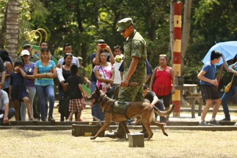 La Secretaria de la Defensa Nacional a través de la Comandancia de la VI Región Militar, realizó el Paseo Dominical donde la entrada fue libre para toda la población en general.