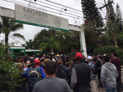 Antorchistas se manifiestan este miércoles en la delegación de SAGARPA  en Xalapa, a la par que en otras delegaciones en el país, mienbros de esa organización hacen lo mismo en reclamo de celeridad en la entrega de apoyos. Aseguraron que no se retirarían hasta ser recibidos por el delegado.
