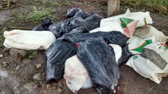 Los restos embolsados de al parecer 8 personas,fueron localizados en  la zona de Matatenatito, municipio de Omealca, alrededor de las 19:42 horas de este viernes.