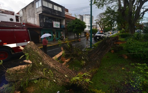Un agucero con rachas de viento y granizo azotó la parte norte de la ciudad de Xalapa, dejando algunas calle inundadas y un árbol caído. 