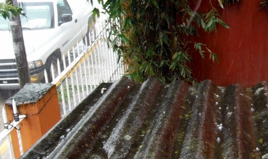 Un agucero con rachas de viento y granizo azotó la parte norte de la ciudad de Xalapa, dejando algunas calle inundadas y un árbol caído. 