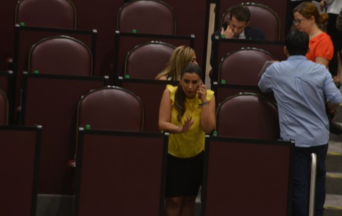 En la sesión, el grupo legislativo del PAN presentó la iniciativa que reforma diversas disposiciones a la Ley de Asociaciones Público Privadas y al Código Financiero para el Estado a fin de adecuarlas a la Ley General de Disciplina Financiera de las Entidades Federativas y los Municipios para estar en posibilidad de regular la contratación de Asociaciones Público-Privadas con cargo total o parcial a recursos federales.