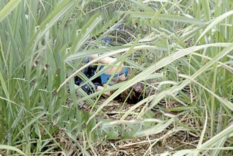El cuerpo de una mujer fue localizado amordazado y maniatado en unos cañales que comunican a la localidad de San Rafael de La Tranca con la de La Estrella. La víctima tenía alrededor de 20 años y presentó traumatismo de cráneo severo.