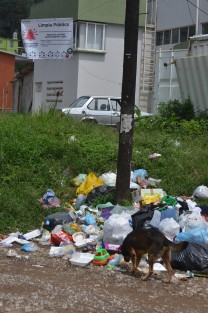 A escasos metros de la calle MÁRTIRES DEL 28 de agosto, donde regularmente se inunda, se encuentra un letrero donde se pide a la población no saque  basura hasta escuchar la campana, a lo cual haen caso omiso, ya que en lugar hay hasta ratas y perros comiendo de la basura que ahí se deja a todas horas.  