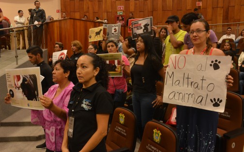 Asociaciones de protección a los animales acudieron a la sesión del Congreso del estado, en donde fue presentada una iniciativa donde se reitera la protección a animales en diversas actividades. A la misma se sumaron algunos diputados y las bancadas de MORENA y PRD.