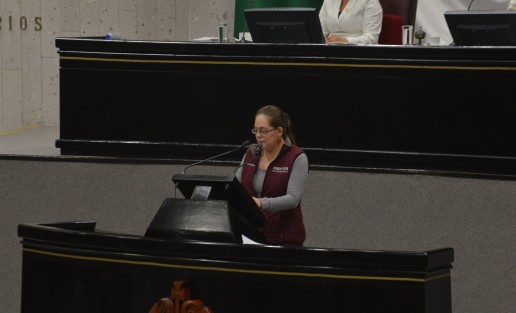 La diputada de MORENA, Tanya Carola Viveros, presentó una iniciativa para que las reuniones de las comisiones sean transmitidas en vivo, con el fin de brindar más transparencia al trabajo de los legisladores. 