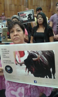 Asociaciones de protección de los animales respaldaron la iniciativa presentada por el diputado Francisco Martínez, que pretende se prohíban las corridas de toros en la entidad.