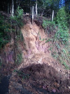 Las lluvias de las últimas horas han ocasionado el reblandecimiento de tierra en diversos puntos de la ciudad, así como en caminos que conectan con poblaciones cercanas, tal es el caso del camino a Rancho Viejo, donde esta mañana fue imposible transitar debido al colapso de tierra y árboles.