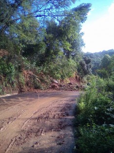 Las lluvias de las últimas horas han ocasionado el reblandecimiento de tierra en diversos puntos de la ciudad, así como en caminos que conectan con poblaciones cercanas, tal es el caso del camino a Rancho Viejo, donde esta mañana fue imposible transitar debido al colapso de tierra y árboles.