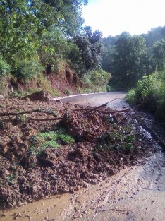 Las lluvias de las últimas horas han ocasionado el reblandecimiento de tierra en diversos puntos de la ciudad, así como en caminos que conectan con poblaciones cercanas, tal es el caso del camino a Rancho Viejo, donde esta mañana fue imposible transitar debido al colapso de tierra y árboles.