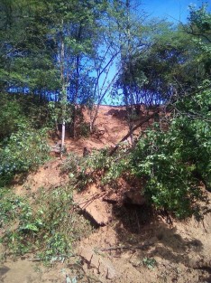 Las lluvias de las últimas horas han ocasionado el reblandecimiento de tierra en diversos puntos de la ciudad, así como en caminos que conectan con poblaciones cercanas, tal es el caso del camino a Rancho Viejo, donde esta mañana fue imposible transitar debido al colapso de tierra y árboles.