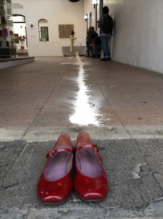 En la Galería de Arte Contemporáneo de Xalapa, se presentó el performance Acción Etérea, con el que Paola Paz celebra 15 años de actividad artística.