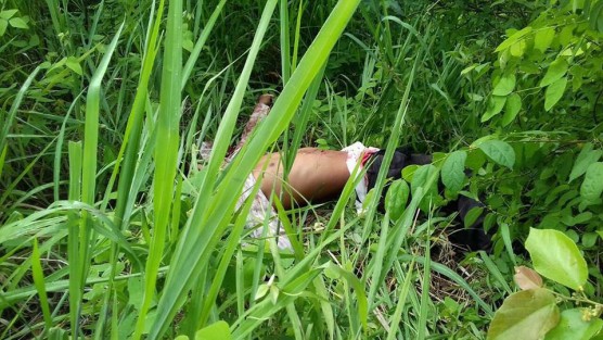 Continúan los hechos delictivos en el sur del estado, los cadáveres de dos personas del sexo masculino fueron hallados la mañana de este martes a un costado de un camino de terracería de la localidad de Petapa, municipio de Jáltipan, cerca de la autopista.