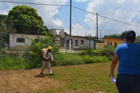 Vectores recorren domicilios para descartar casos de dengue.
