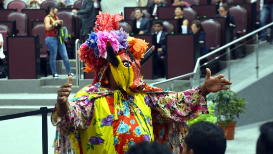 Haciéndose buey en el Congreso. 