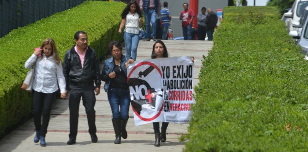 Animalistas se manifestaron afuera del Palacio Legislativo, solicitando a los diputados no permitir el maltrato de animales en espectáculos como sería en el caso de la xiqueñada.